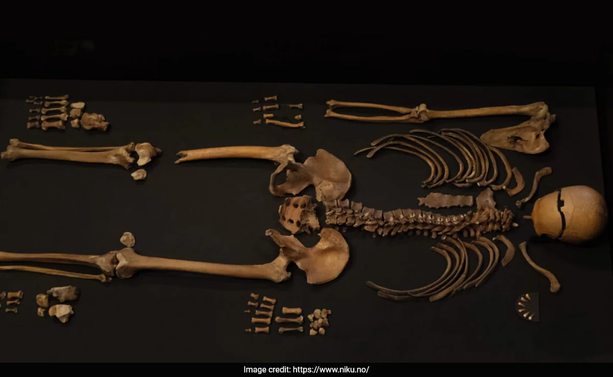 Scientists Decode Mystery Of 'Well-Man' From 800-Year-Old Story In Norway