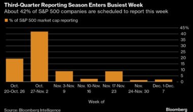 Stocks Pause With Earnings, US Election in Focus: Markets Wrap