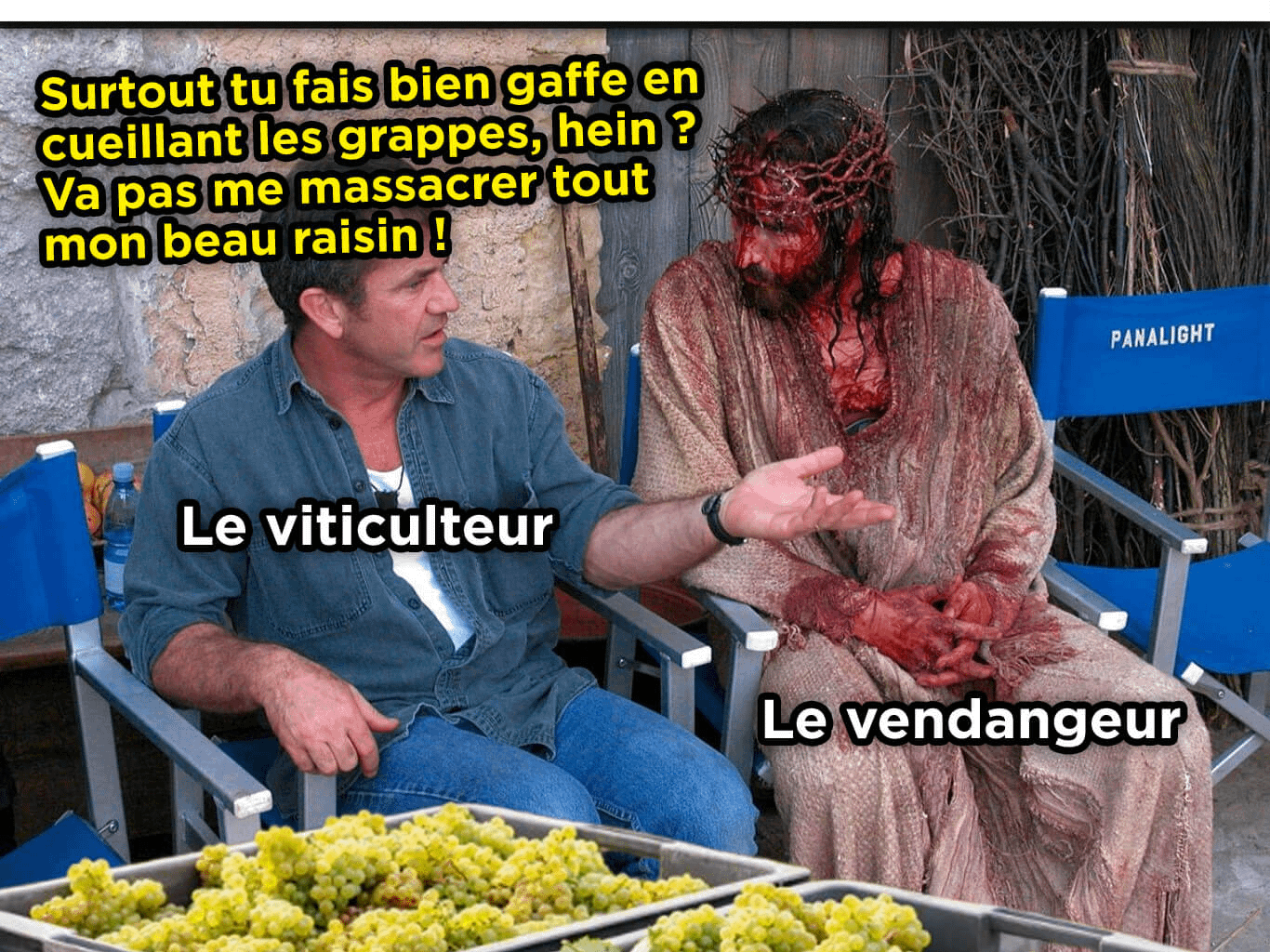 🎵 Dans la vigne, il y a des cactus 🎶