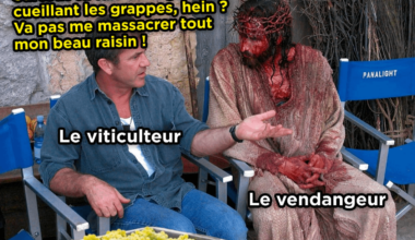 🎵 Dans la vigne, il y a des cactus 🎶