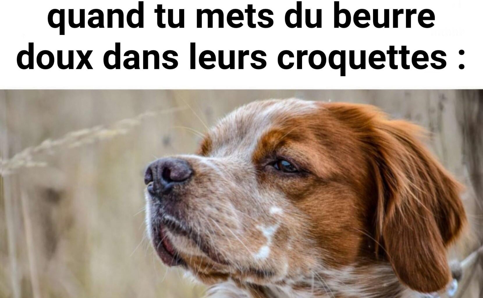 "La gloire de mon ker", Marcel Epagneul