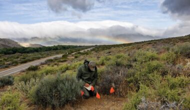 Even as A.I. Technology Races Ahead, the Prehistoric Science of Wildlife Tracking Is Making a Comeback
