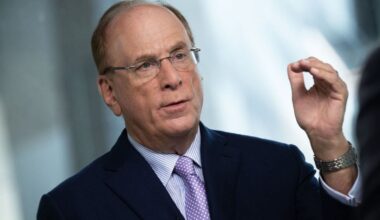 US elections 2024: Blackrock CEO Larry Fink says outcome won’t have any big impact on markets; ‘I’m tired of...’