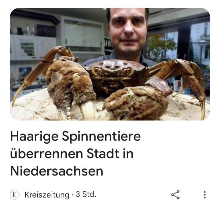 Warum passiert sowas immer wenn wir zu viel Aufmerksamkeit der Politik geben? ES GIBT WIRKLICHE PROBLEME!!!