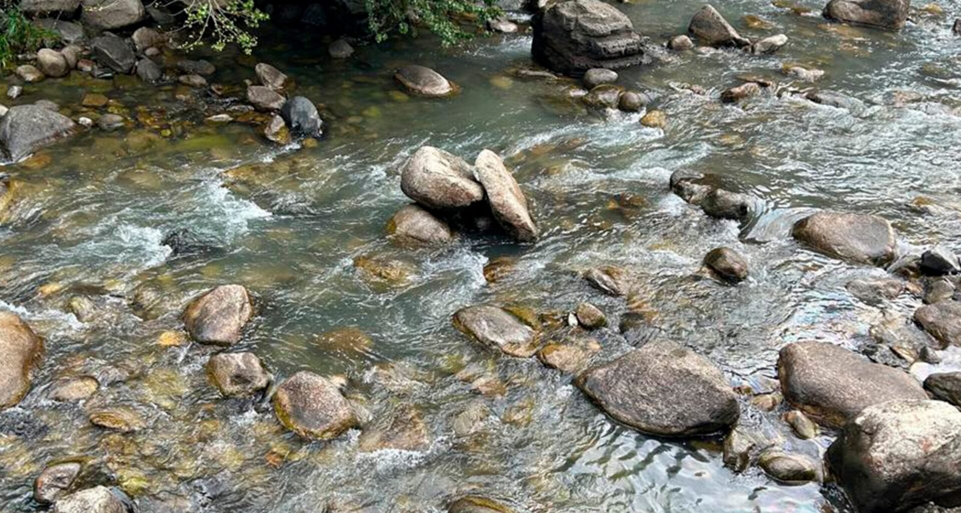 Mecanismes d'absorció al llarg del riu per minimitzar la presència de gasoil