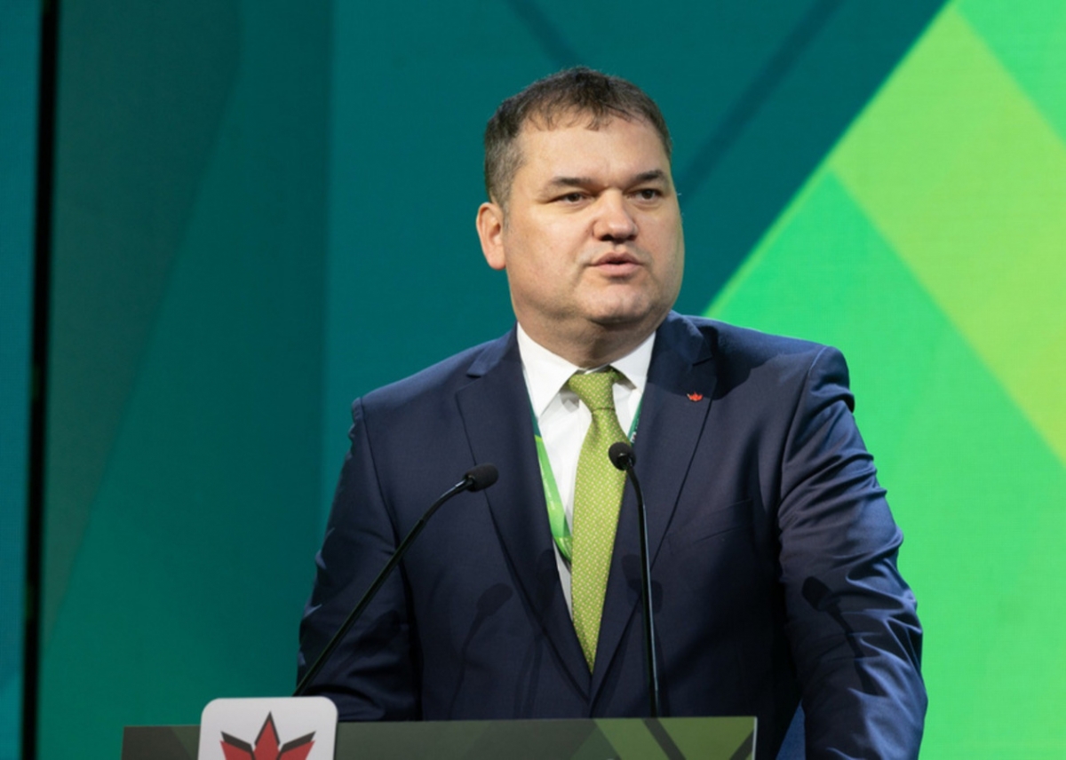 Cseke Attila UDMR