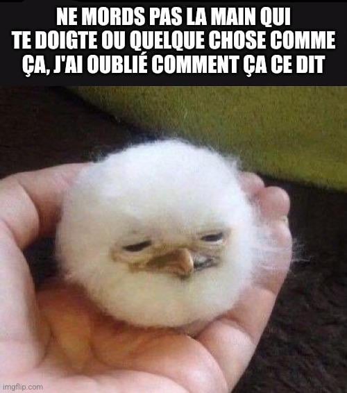 j'ai faim, je crois