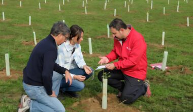 a Ruginello è nato il Bosco dei bambini