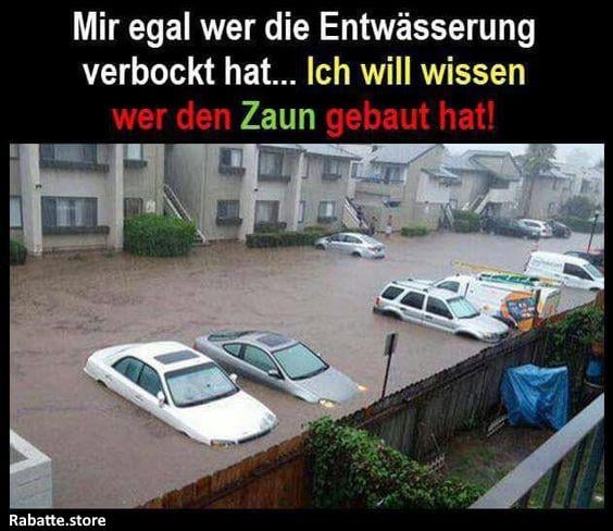 Zaun ...