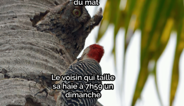 Les pires êtres humains