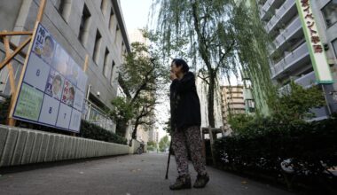 Japan's ruling party braces for a blow to its comfortable majority in the lower house in elections