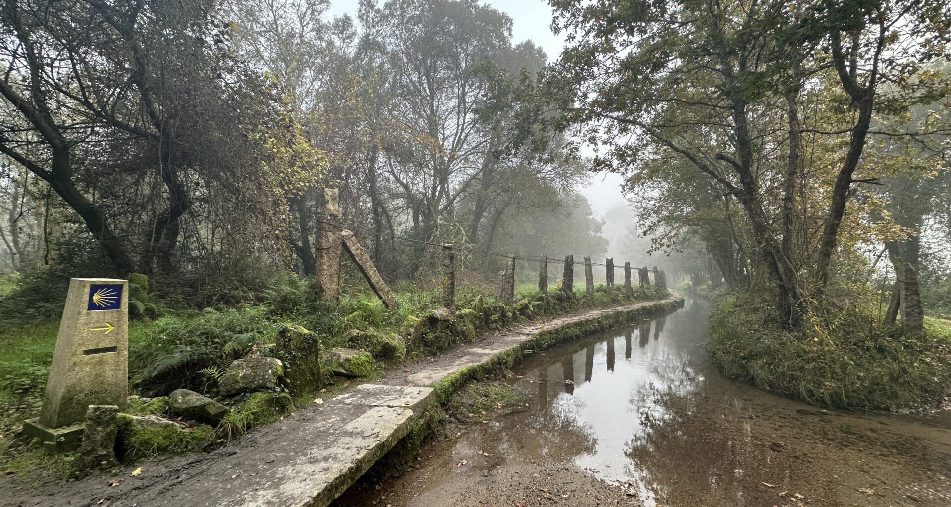 Outside Orbenlle on Camino Portuguese