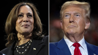 Over 80 million early votes cast in 2024 US elections: Key takeaways on voting trends