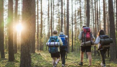 Bird watching, hiking and history: Escape to nature on a trip to Lithuania’s tranquil national parks