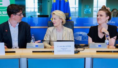 Green MEPs divided over backing for European Commission