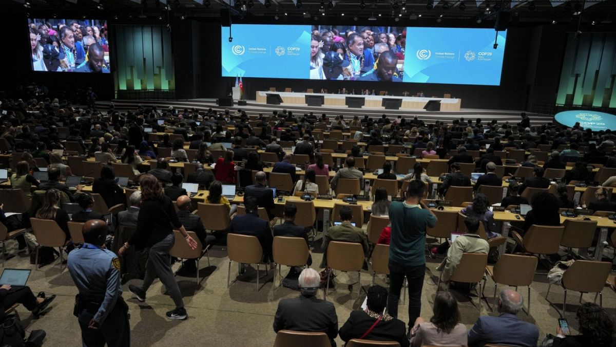 Live - COP29: What's happening on day 10 of the UN climate conference?