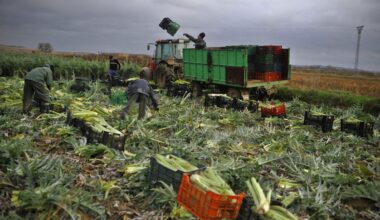 Spanish farmers lash out against Mercosur: “They will end European agriculture”