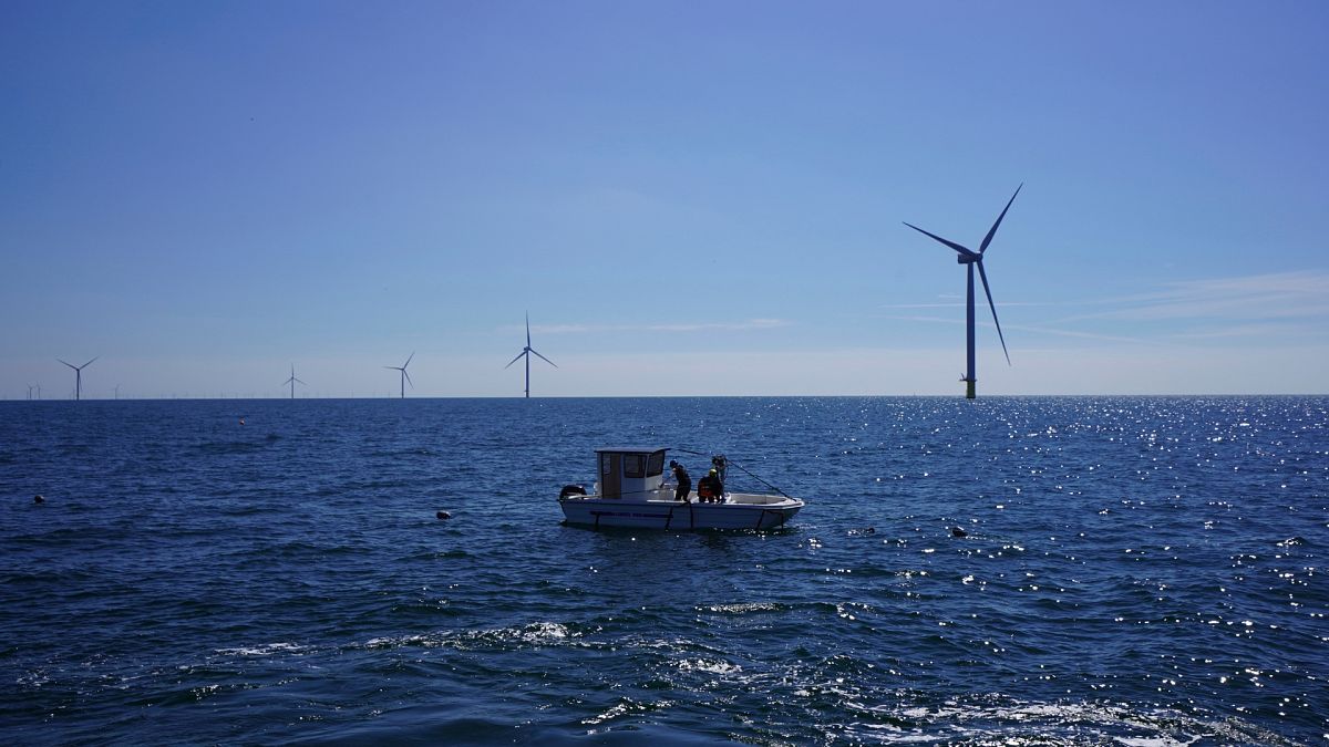 Denmark, Netherlands and UK: Which European countries are leading for their climate performance?