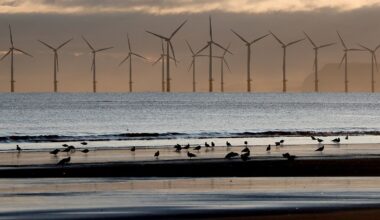 Sweden rejects applications for thirteen offshore wind farms, citing security concerns