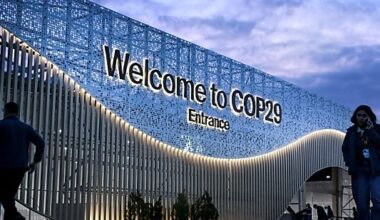 COP29: Ökonomin fordert Klima- und Umweltministerium in Österreich