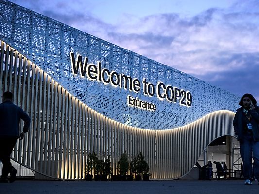 COP29: Ökonomin fordert Klima- und Umweltministerium in Österreich