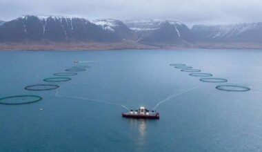 "Iceland is in a unique situation"
