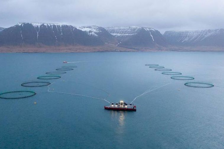 "Iceland is in a unique situation"