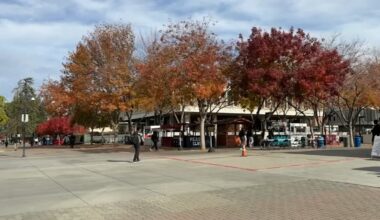 Building skills, knowledge and community with Fresno State's Hispanic Business Student Association