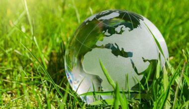 In Italia è allarme “sustainability washing”: sostenibilità di facciata per ingannare i consumatori