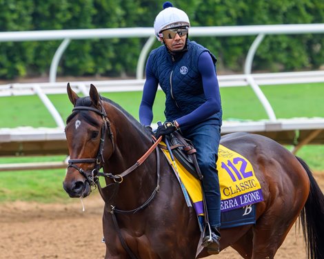 Sierra Leone<br>
Breeders’ Cup contenders training at Del Mar in Del Mar, California, on Oct. 28, 2024.