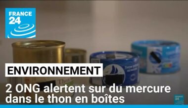 Mercure dans le thon en boîtes : une "contamination généralisée" alertent 2 ONG • FRANCE 24