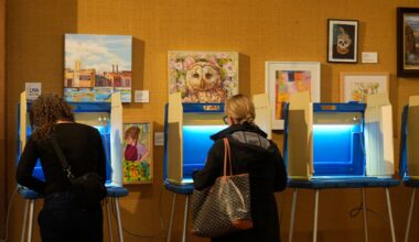 Wisconsin voters pass 'eligibility to vote' referendum in election