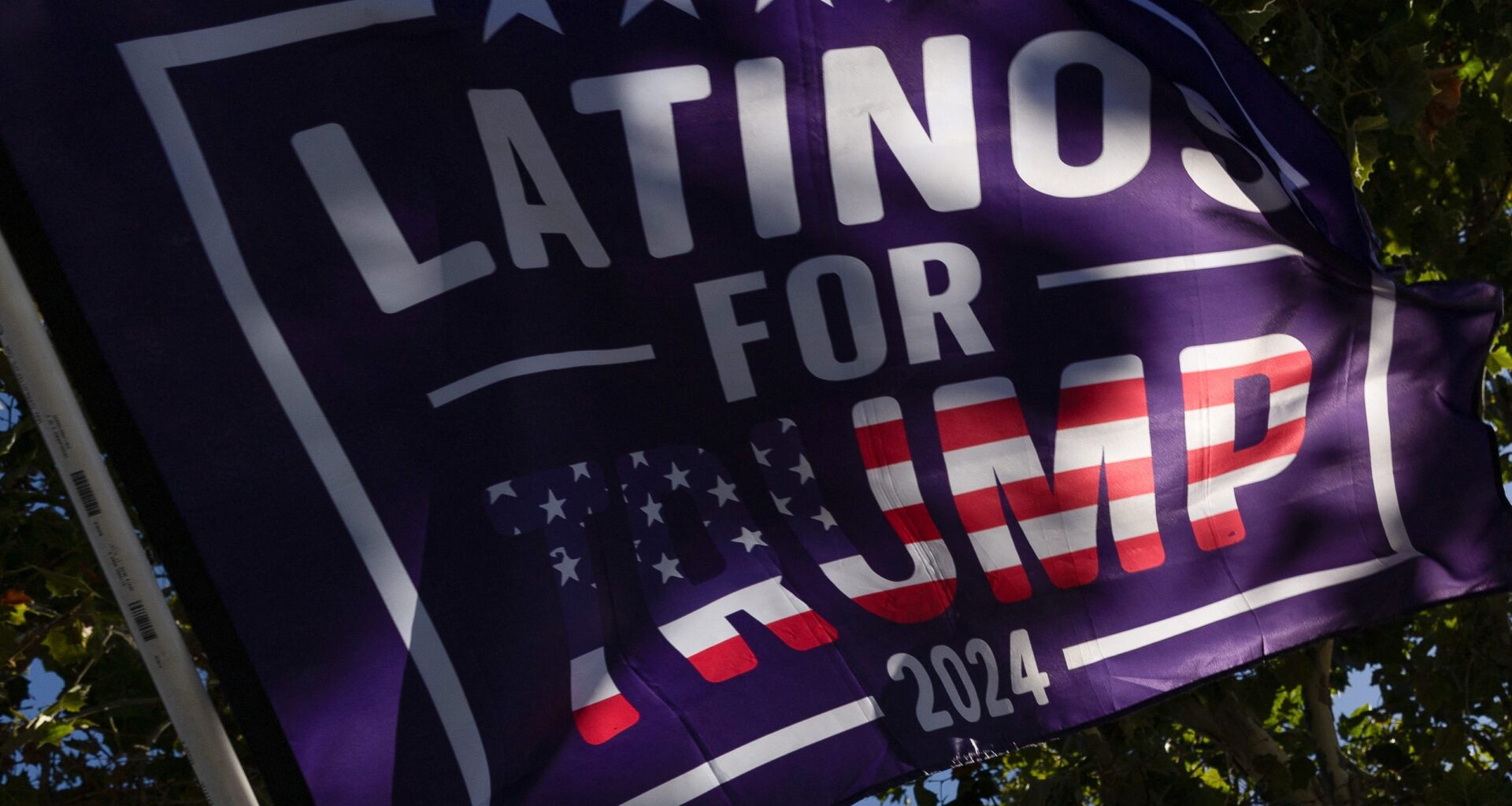 Trump's election win boosted by shifting loyalties of these voters