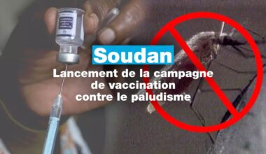Le Soudan lance sa campagne de vaccination contre le paludisme • FRANCE 24