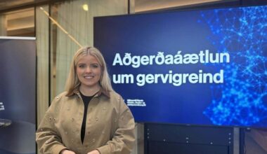Iceland could be a leader in the responsible use of artificial intelligence