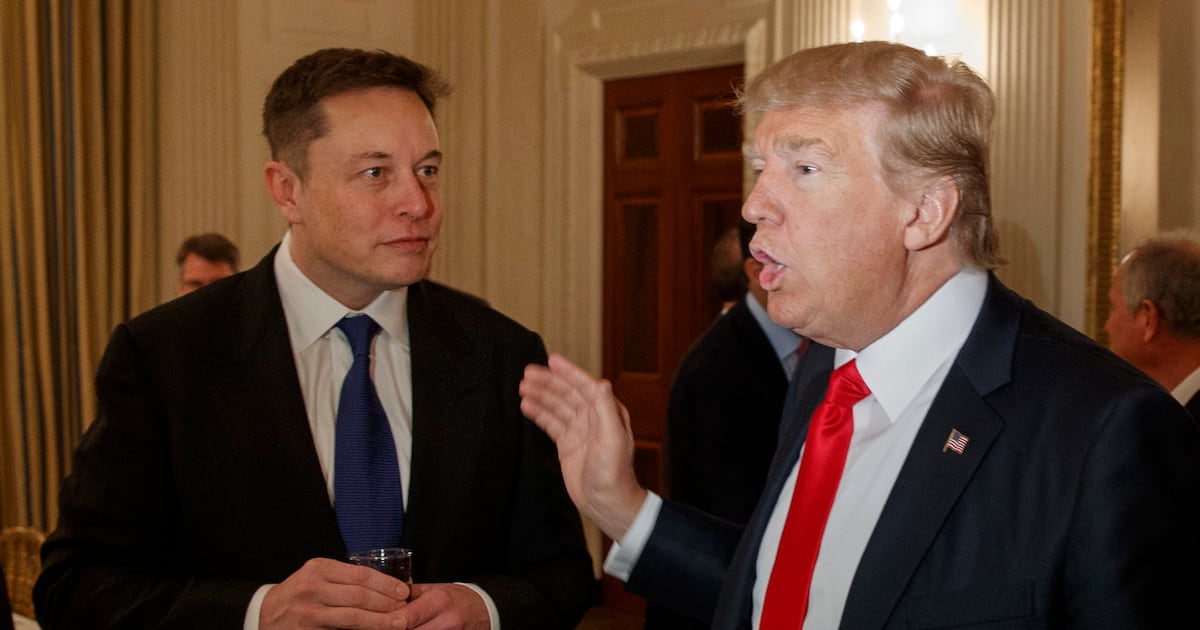 Despite Trump election win, climate change hopes remain. Could Elon Musk make a difference? – Reckon