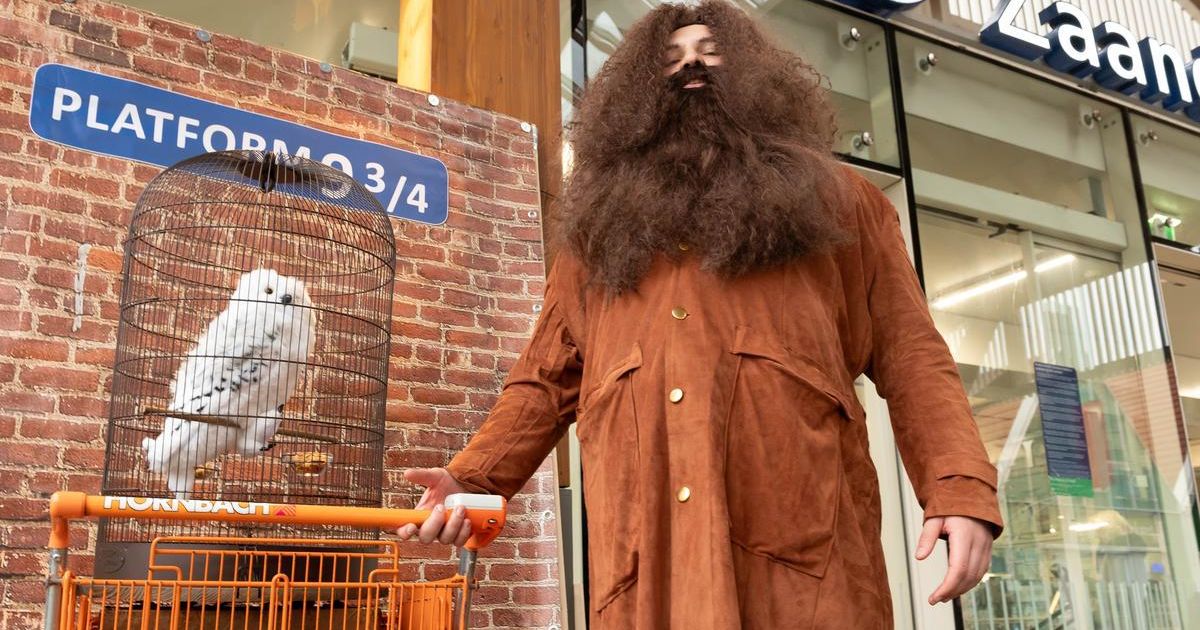 Harry Potter-gekte in Zaandam trekt fans uit heel Nederland en daarbuiten: ’Alsof je echt in die wereld bent’ | Binnenland