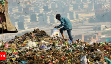 Trashing the environment: How to fix India's bulging waste line | Delhi News