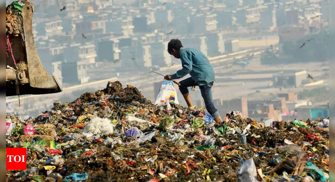 Trashing the environment: How to fix India's bulging waste line | Delhi News