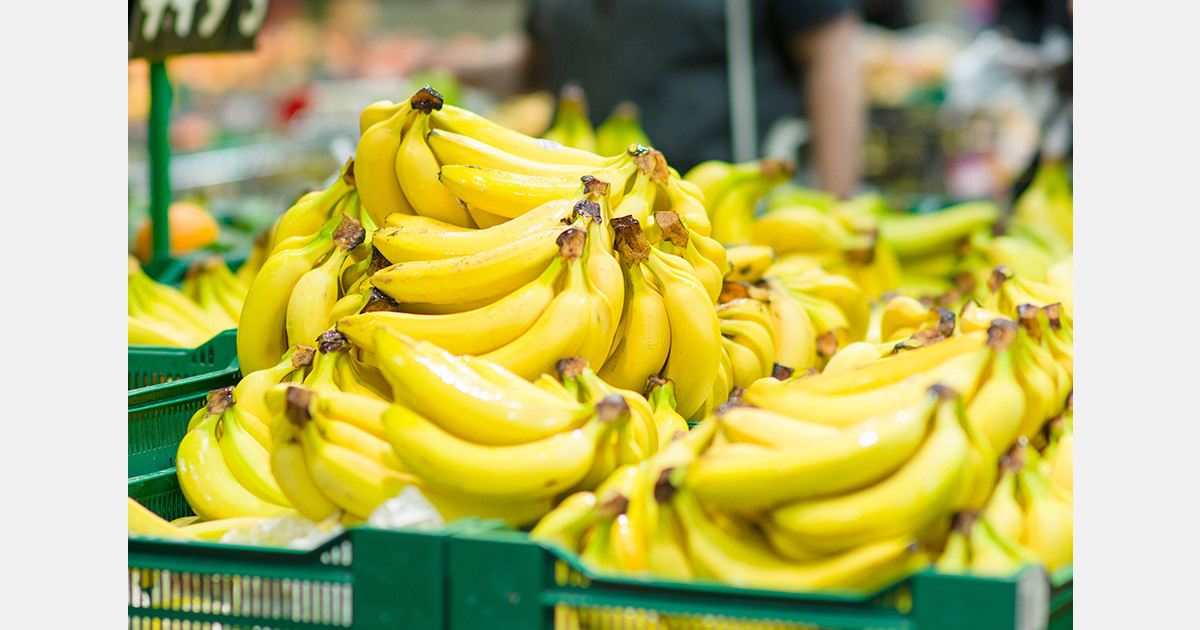 Geopolitical tensions cut Philippines’ banana exports as Vietnam takes lead