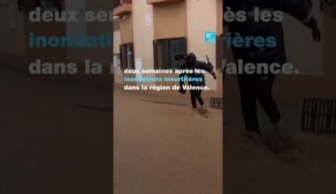 Espagne : la région de Malaga touchée par des pluies torrentielles    • FRANCE 24
