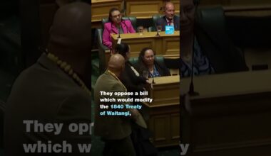 In New Zealand, Indigenous Maori MPs stage a haka • FRANCE 24 English