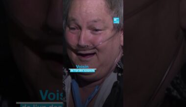 Déguisé en ours pour arnaquer l'assurance de sa voiture • FRANCE 24