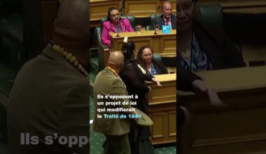 Nouvelle-Zélande : les députés maoris font un #haka au Parlement • FRANCE 24
