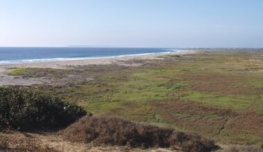 Opinion: The Looming War on Federal Environmental Protections Will Hurt San Diegans