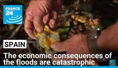 The economic consequences of the floods in Spain are catastrophic • FRANCE 24 English