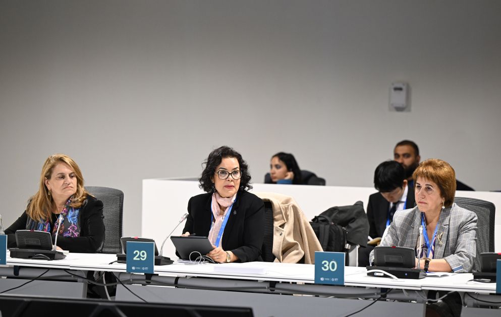 COP29 side event discusses role of science & innovation in achieving low-emission food systems [PHOTOS] - Gallery Image