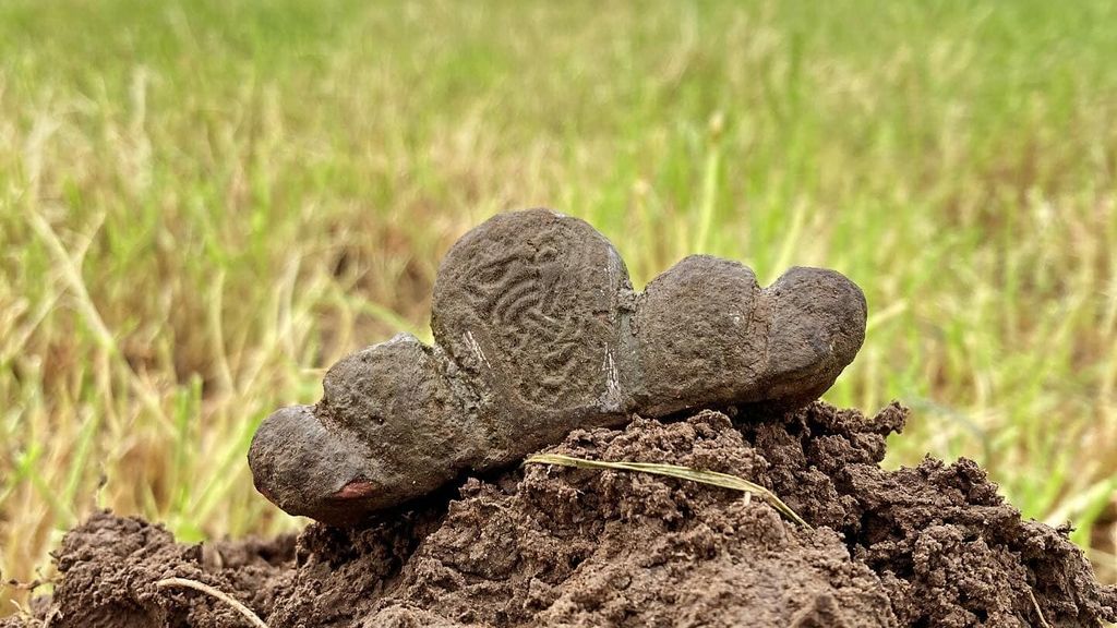 Onderdeel van Vikingzwaard gevonden in Friesland: 'Uniek voor Nederland'