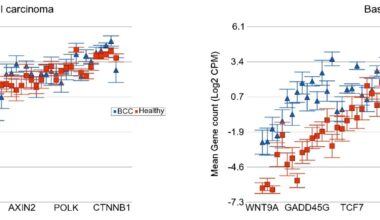 Data helps untangle links between pollution and cancer