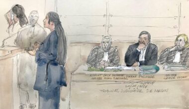 Pierre Palmade, un «fou drogué» condamné à deux ans de prison ferme